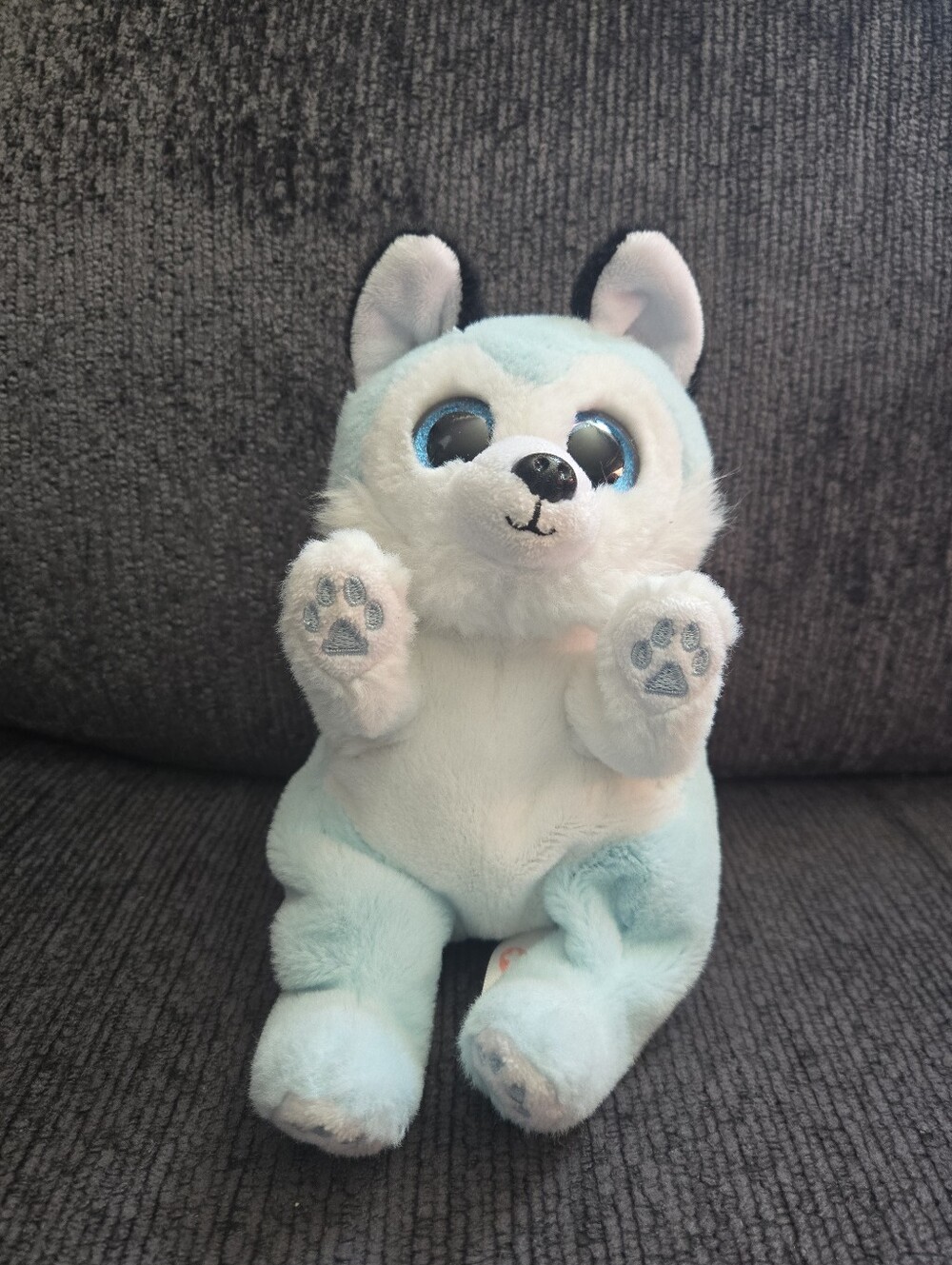 TY Beanie Baby (Beanie Bellies) THUNDER the Blue & White Husky Dog